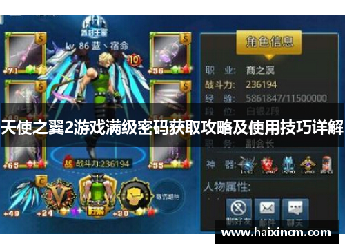 天使之翼2游戏满级密码获取攻略及使用技巧详解