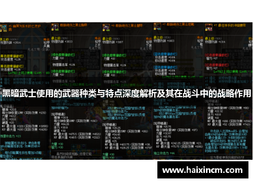 黑暗武士使用的武器种类与特点深度解析及其在战斗中的战略作用
