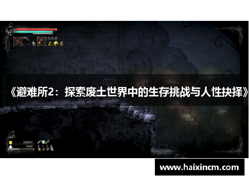 《避难所2：探索废土世界中的生存挑战与人性抉择》